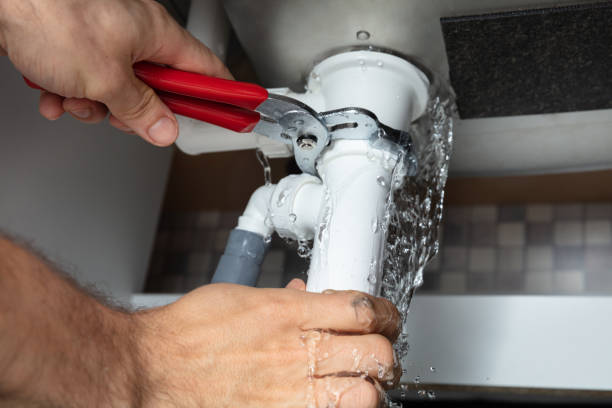 Best Sewage cleanup and water damage restoration  in Prichard, AL