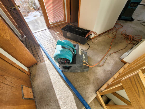 Best 24-hour water damage restoration  in Prichard, AL