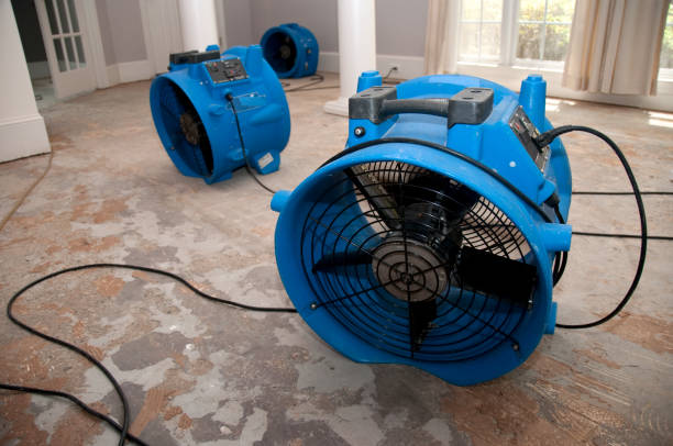 Best Flood damage cleanup  in Prichard, AL